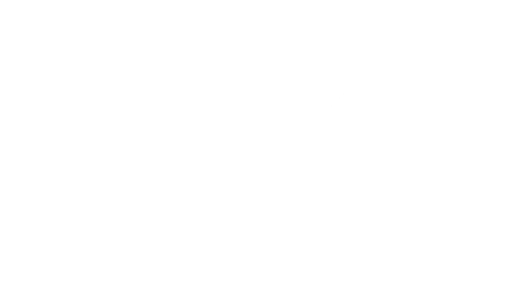 fs1-logo-1