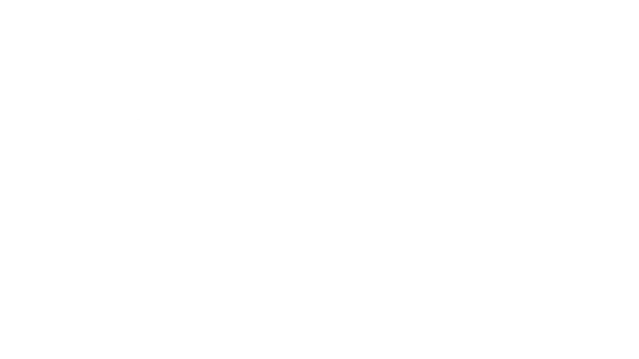 fs2-logo-1