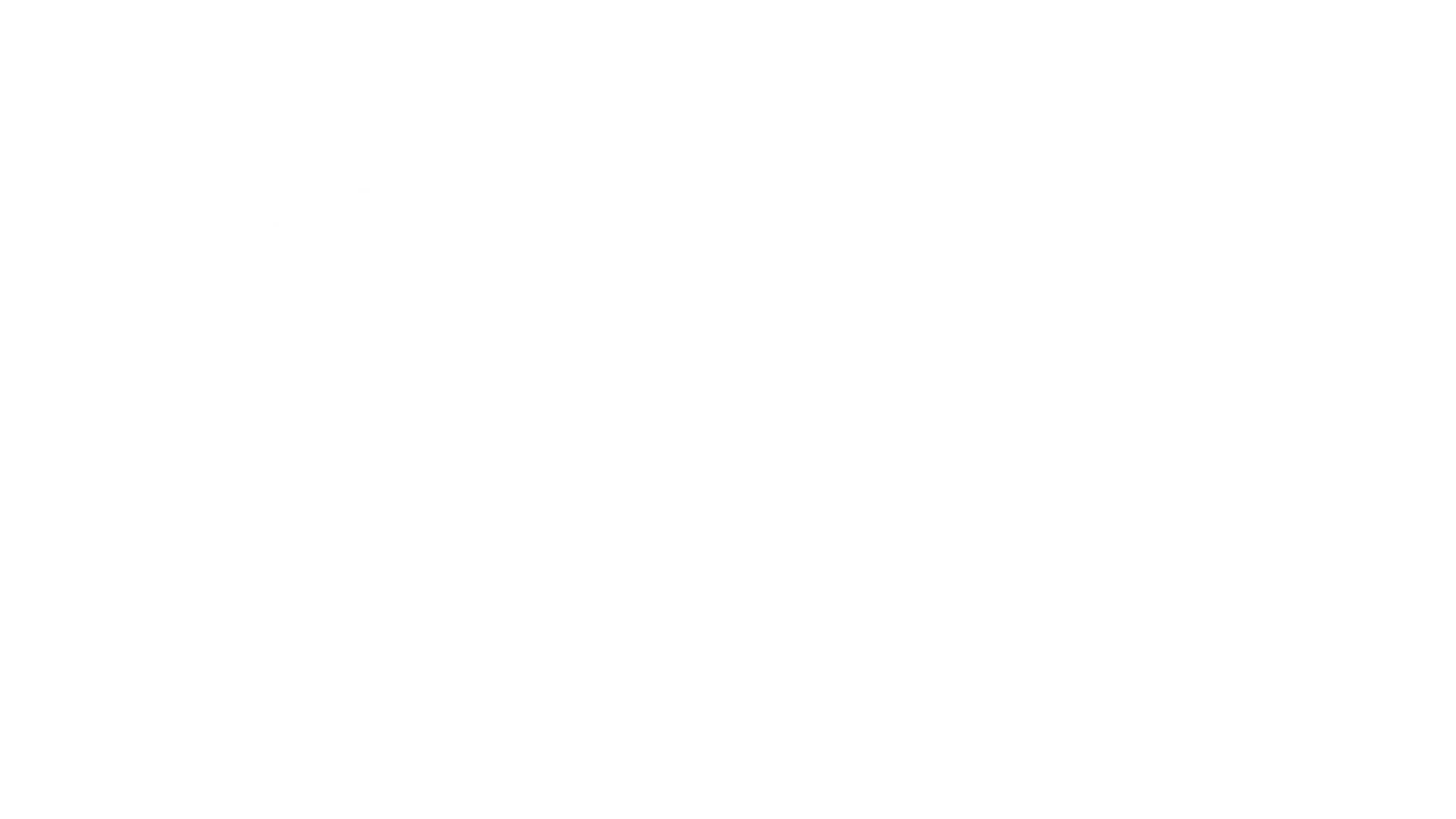 premier-league-logo-white-1